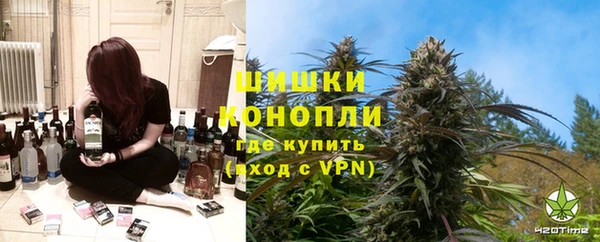 индика Алексеевка