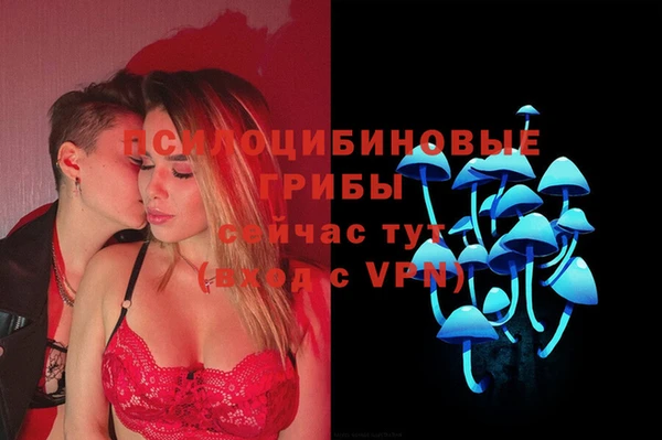 гидропоника Абинск