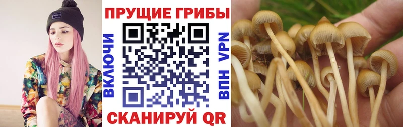 кракен вход  Николаевск-на-Амуре  Галлюциногенные грибы мицелий 